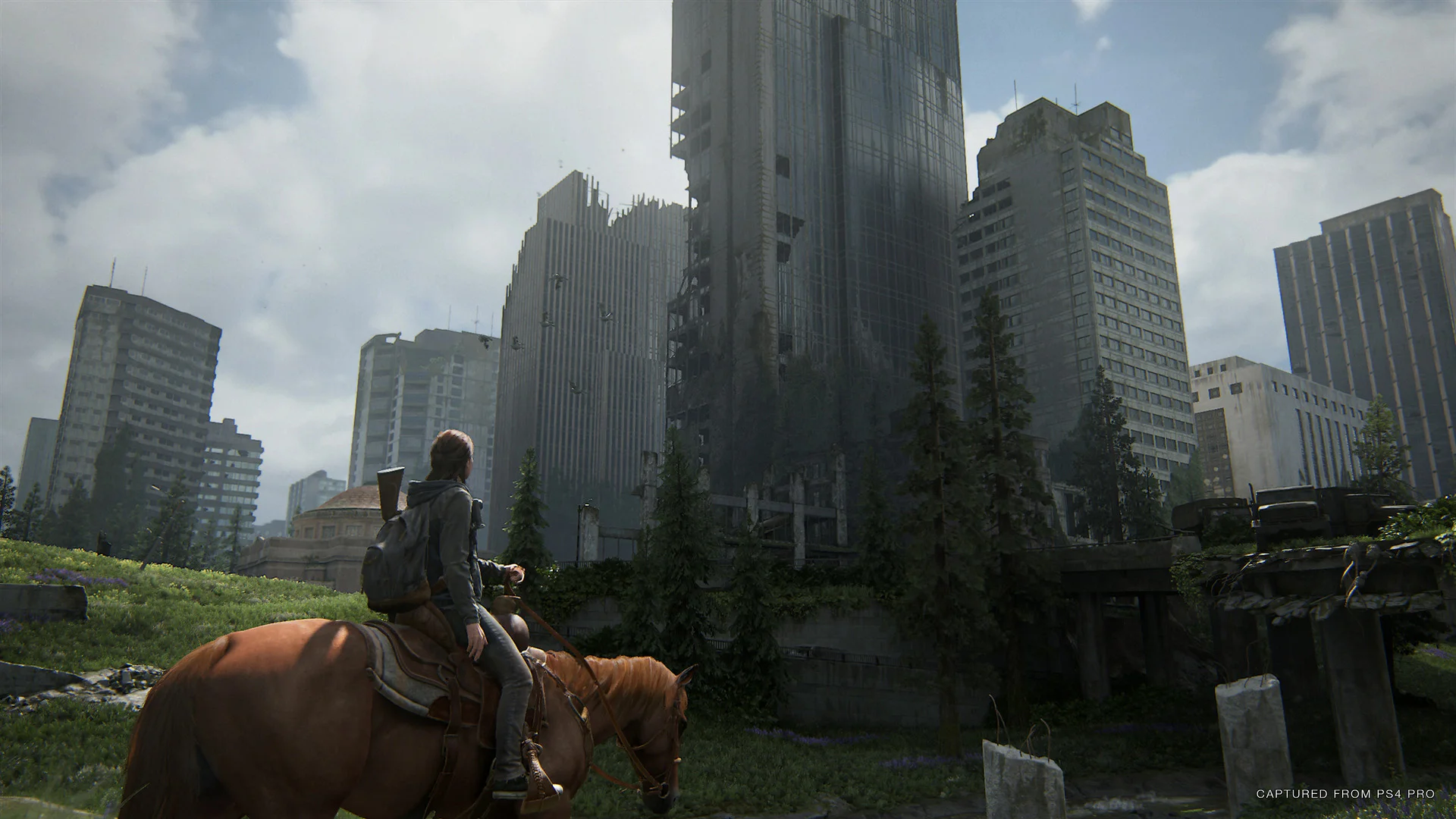 Главная героиня Элли The Last of Us Part II на лошади смотрит на разрушенные небоскребы