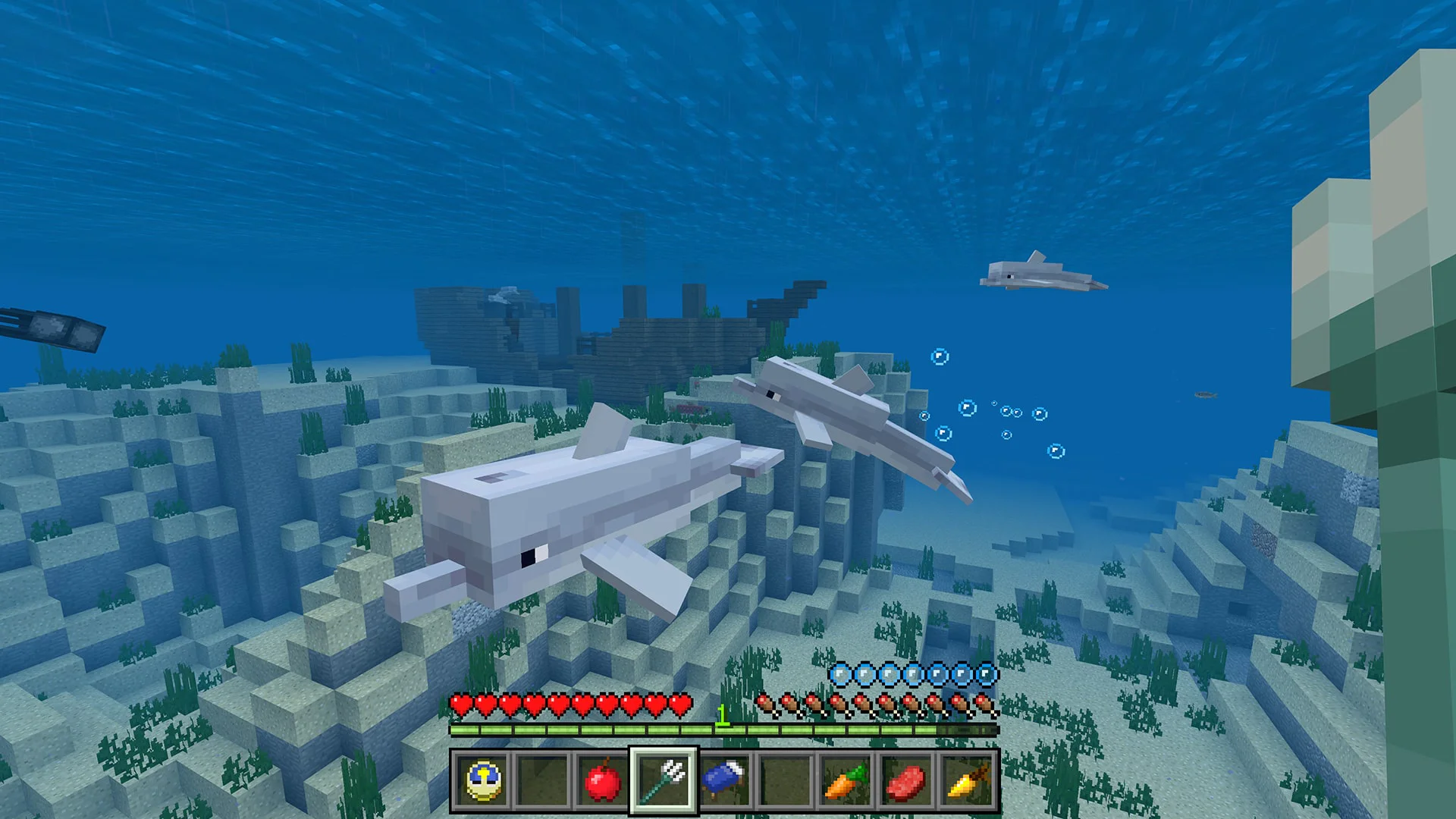 Подводный мир Minecraft с плавающими дельфинами и коралловыми рифами.