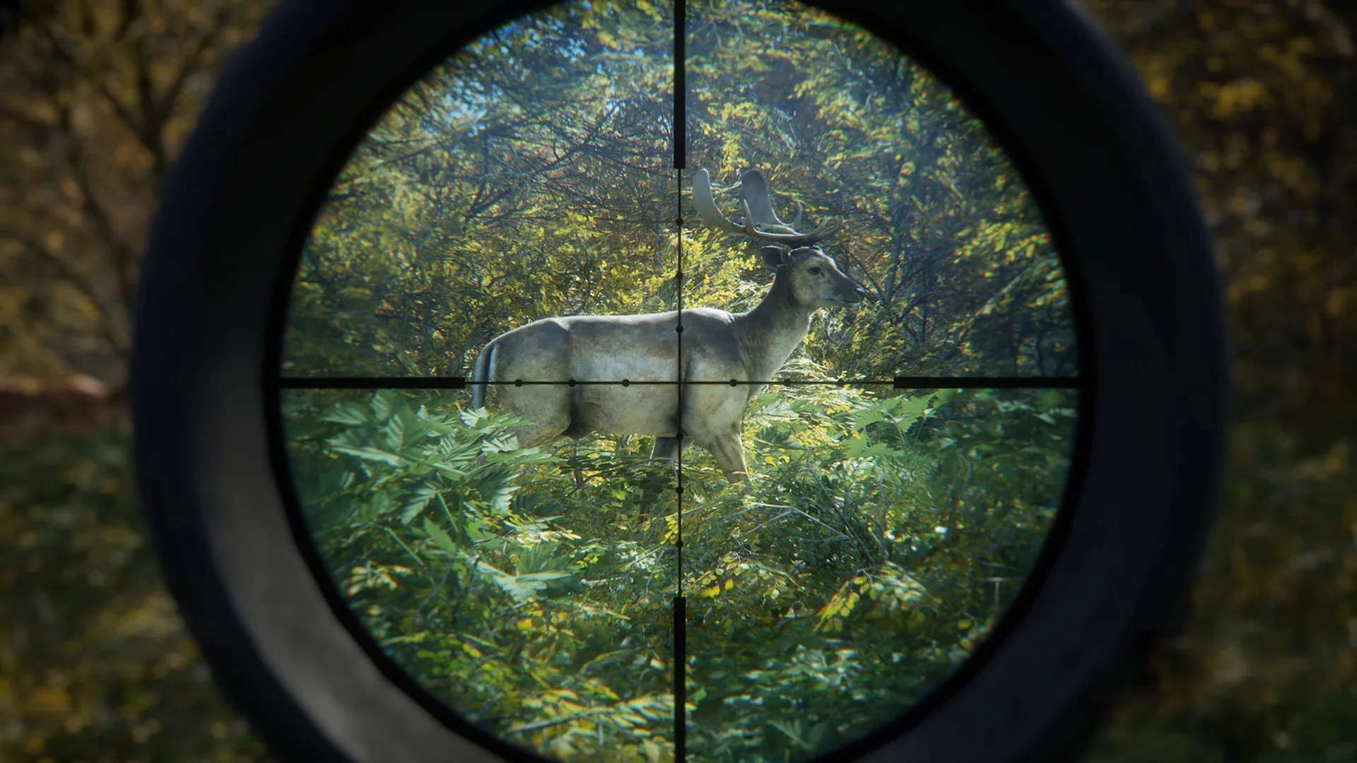 Олень в прицеле снайперской винтовки в игре "The Hunter: Call of the Wild".