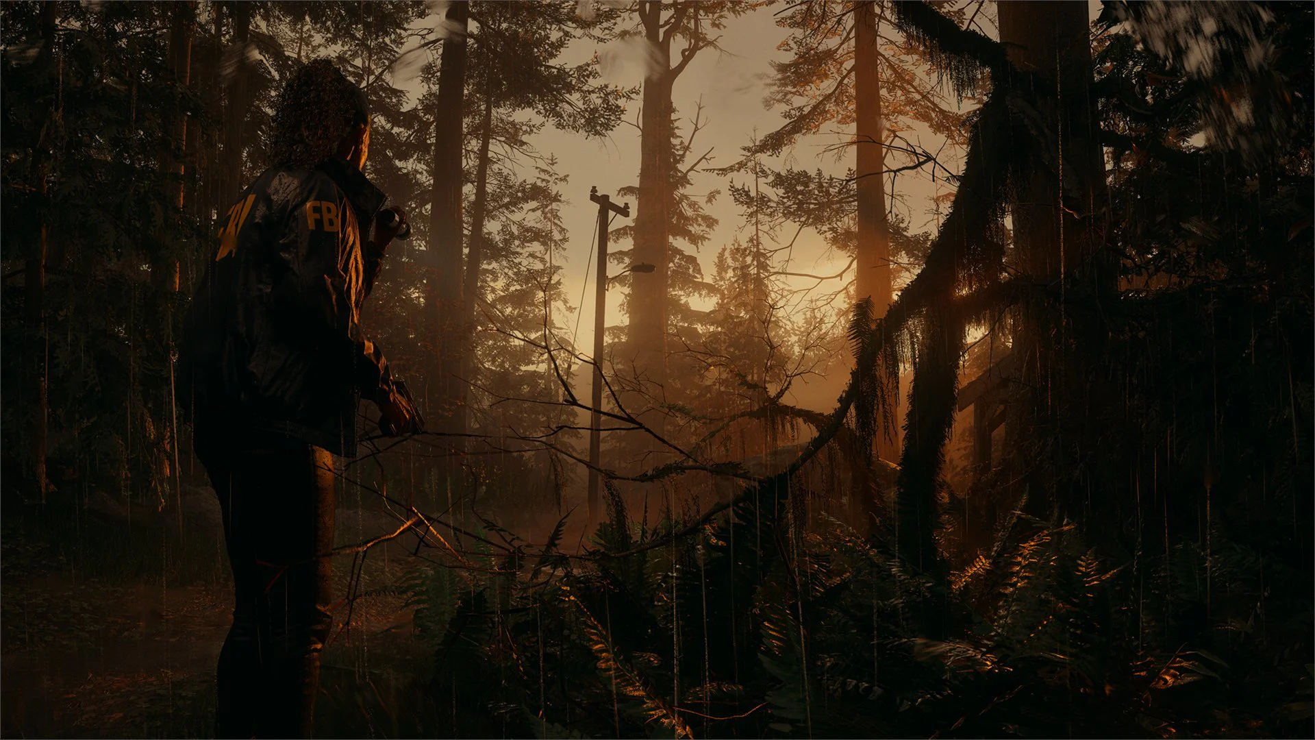 Alan Wake 2 — изображение 2