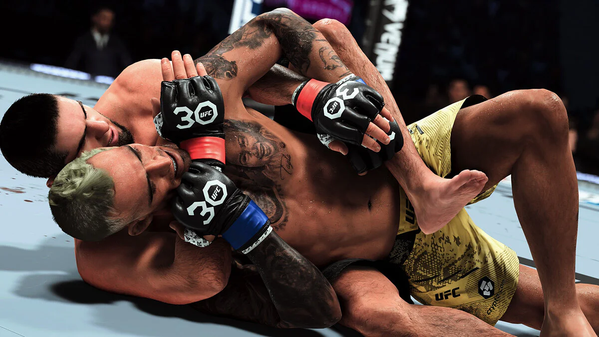 Бои в UFC 5