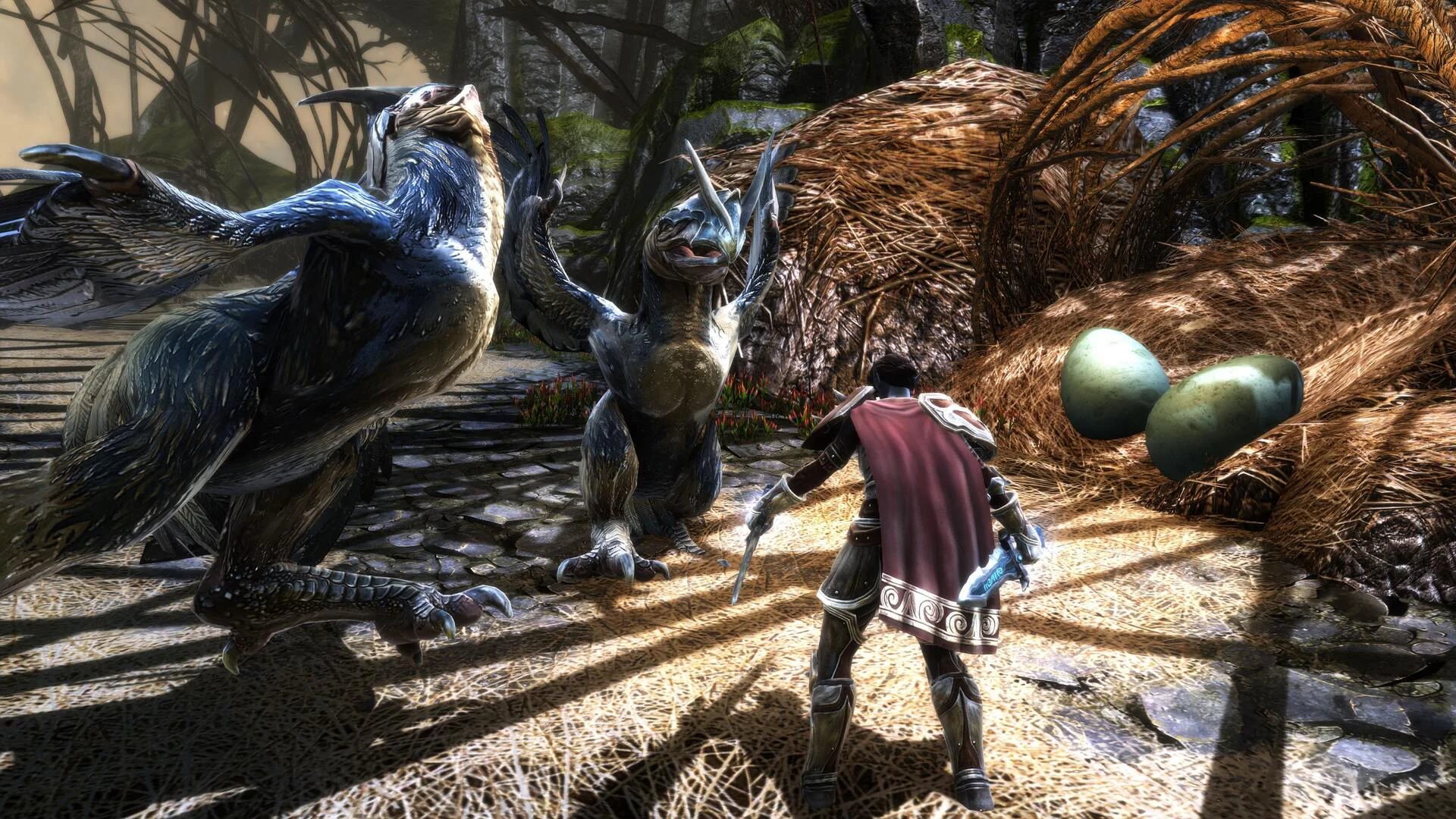 Герой Kingdoms of Amalur Re-Reckoning сражается с двумя крылатыми существами