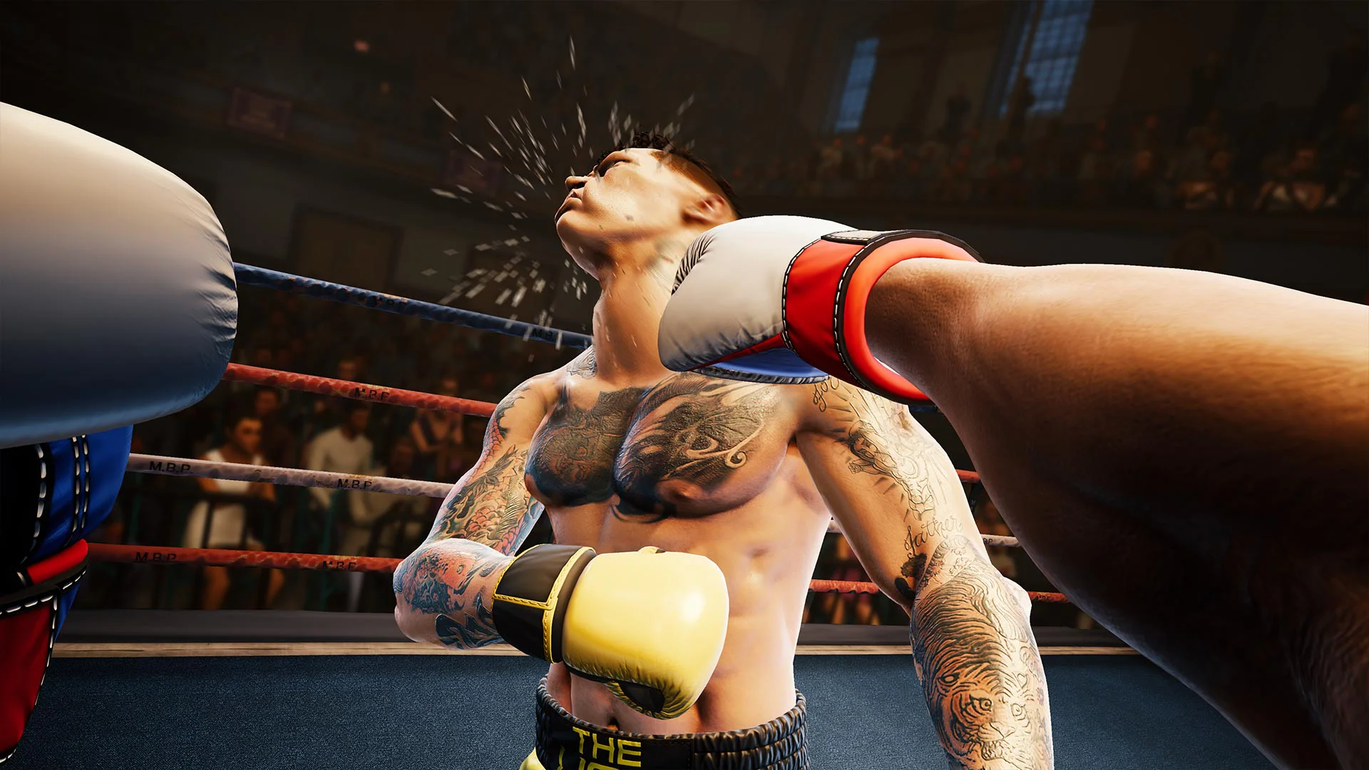 Creed: Rise to Glory — изображение 7